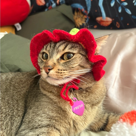 Meet your Posher, Kristina! - Picture 7 of 16